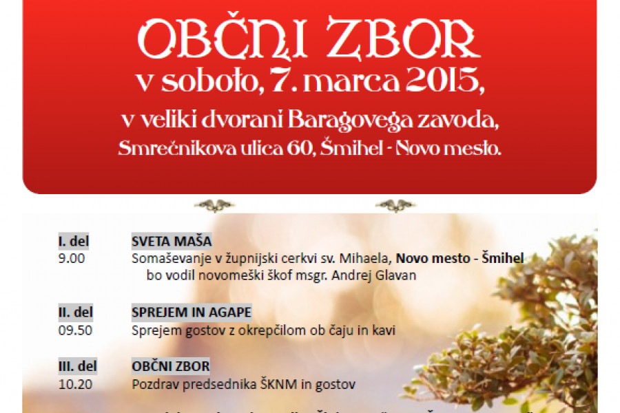 Občni zbor Škofijske karitas 2015