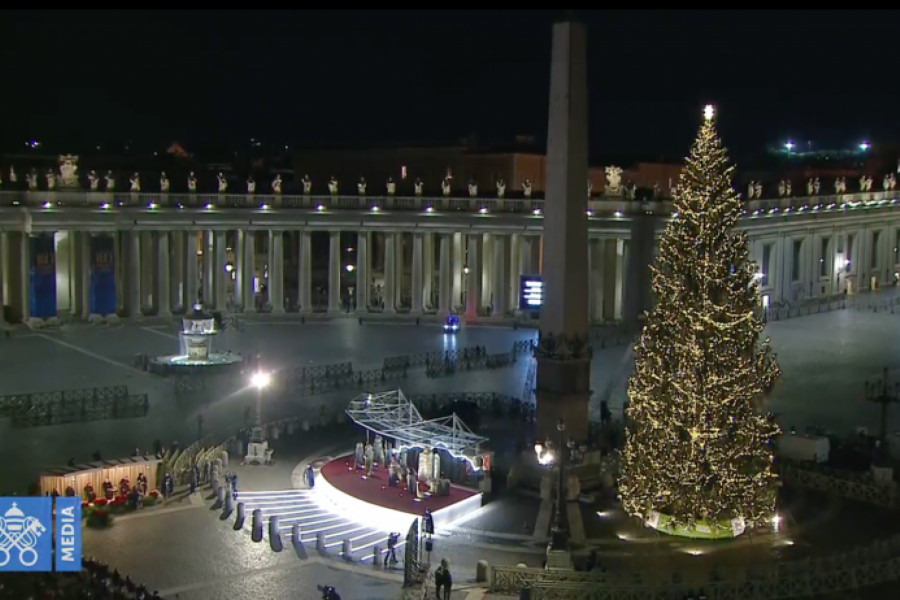 Božično drevo na Trgu svetega Petra letos iz novomeške škofije
